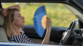 Sommerhitze im Auto