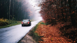news-so-fahren-sie-sicher-durch-den-herbst